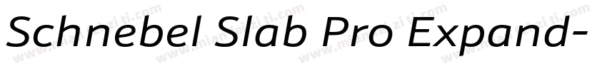 Schnebel Slab Pro Expand字体转换